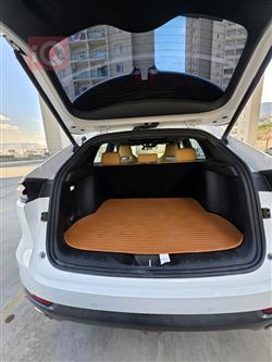 شانجان يوني كي